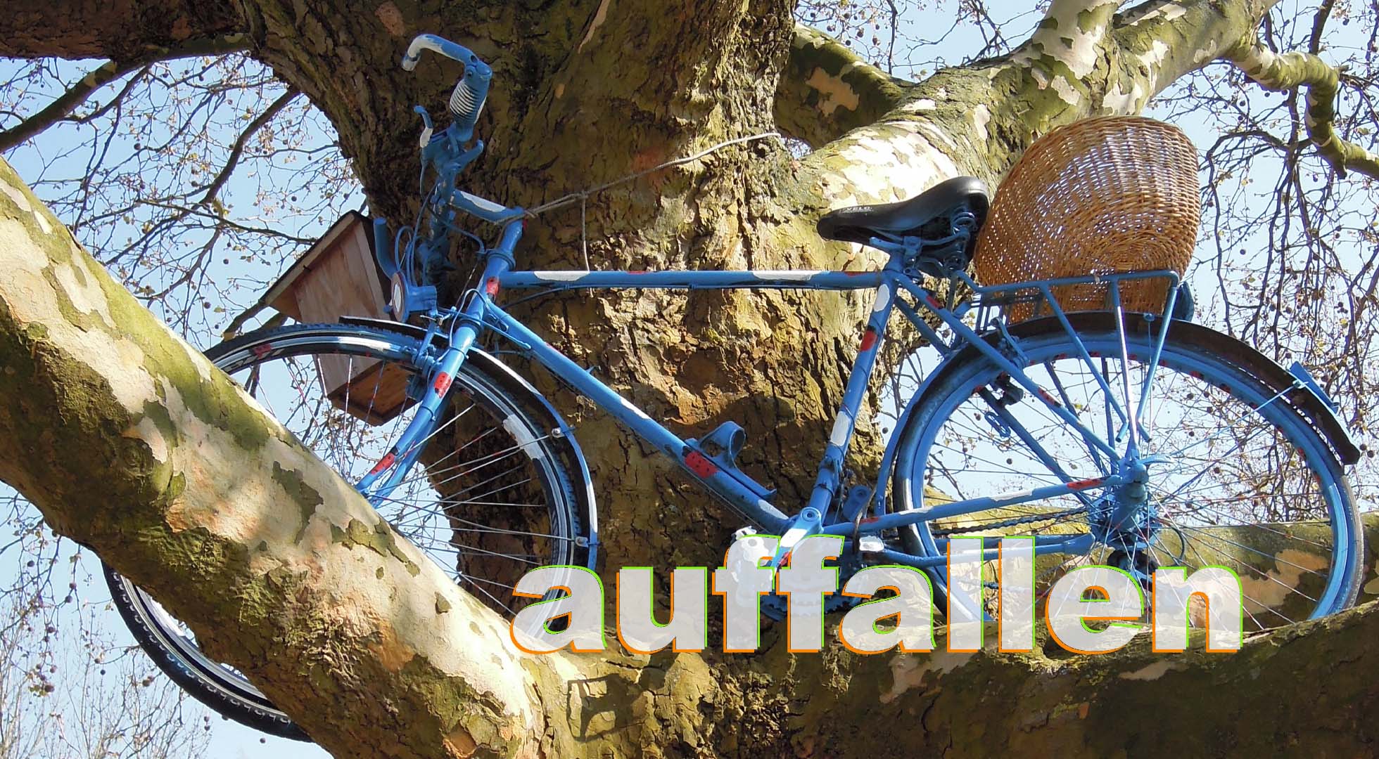 Fahrrad im Baum